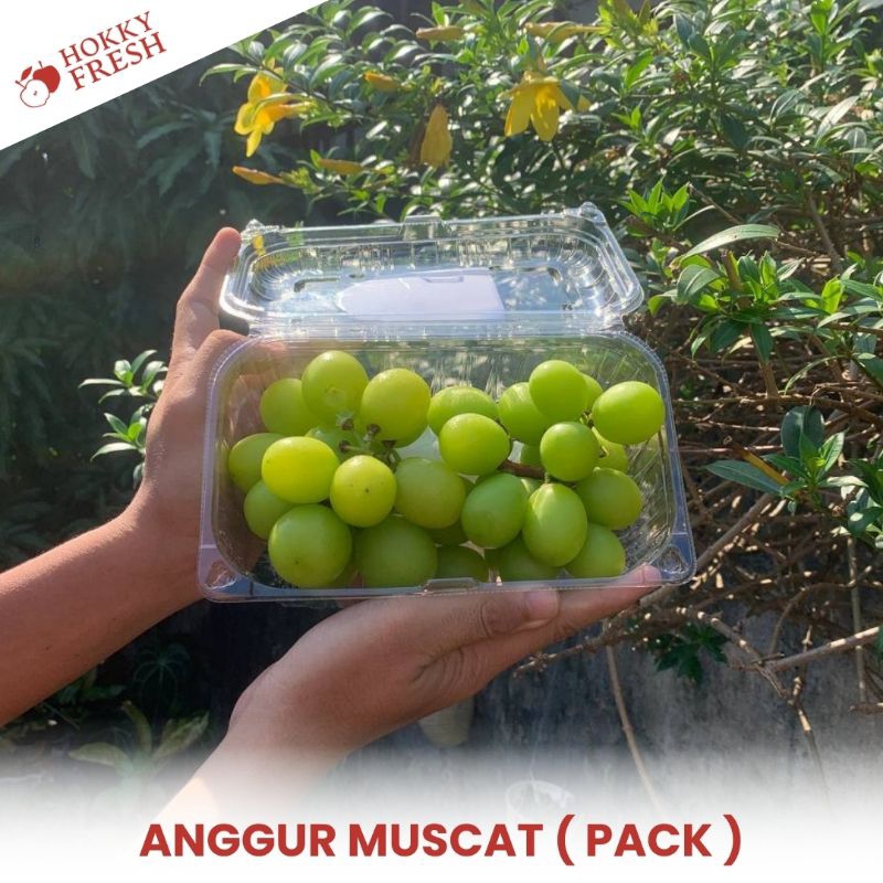 

Anggur Muscat / Pack