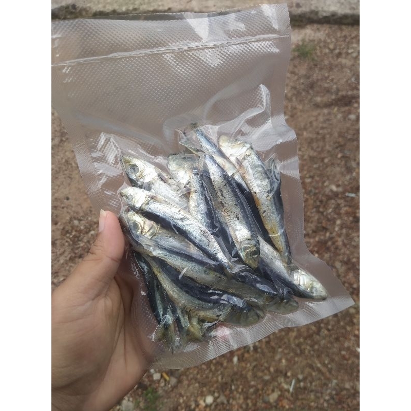 

IKAN ASIN JAPUH 250 GRAM