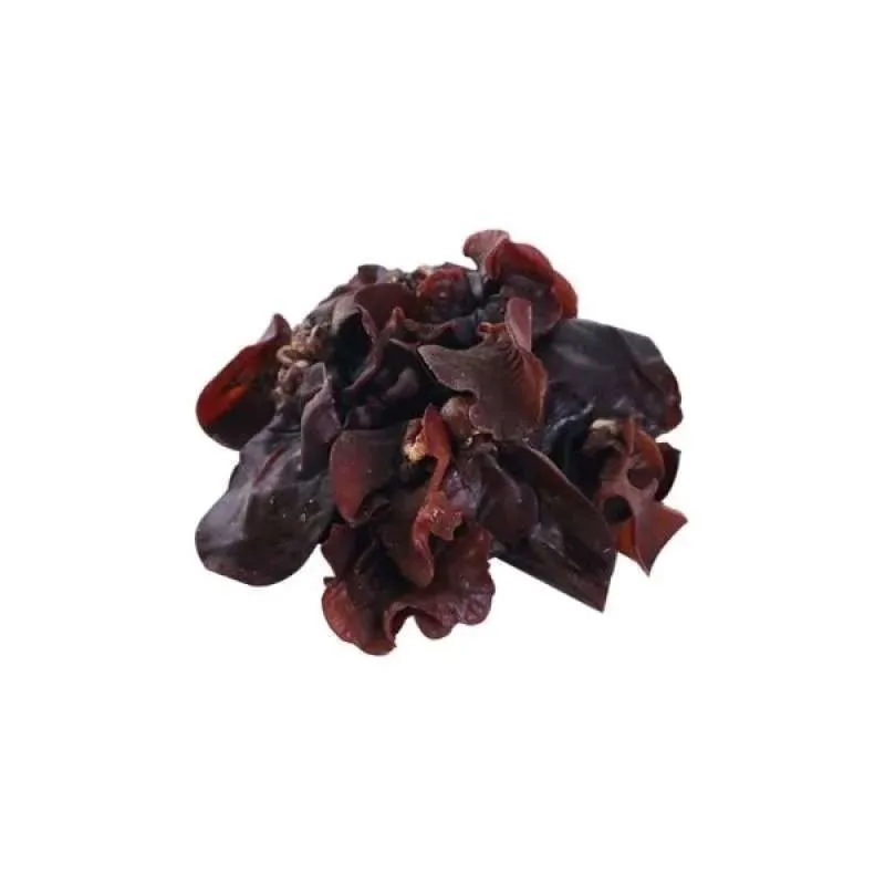 

Jamur Kuping [100 g]