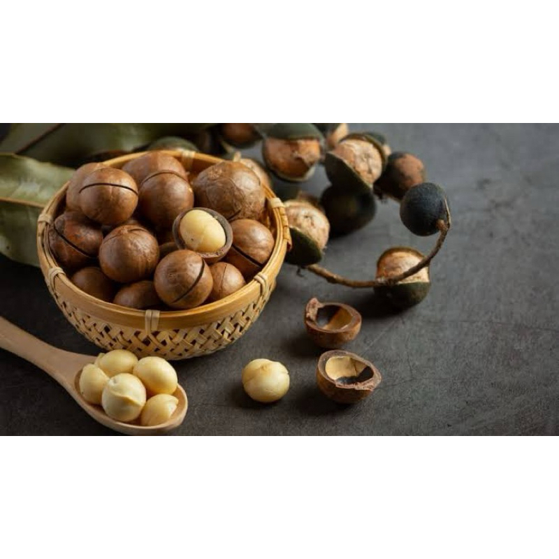 

1KG KACANG MACADAMIA NUTS / KACANG UNTUK KESEHATAN