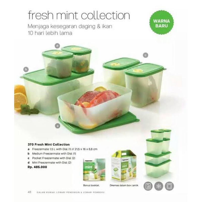 Fresh Mint Collection Tupperware