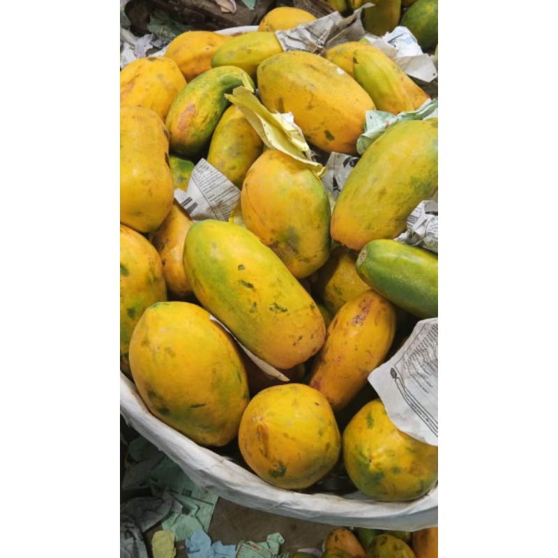 

Super Promo Pepaya california(manis)