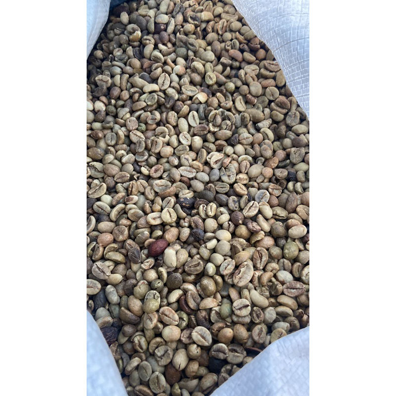 

BIJI KOPI ROBUSTA 1KG KOMERSIL