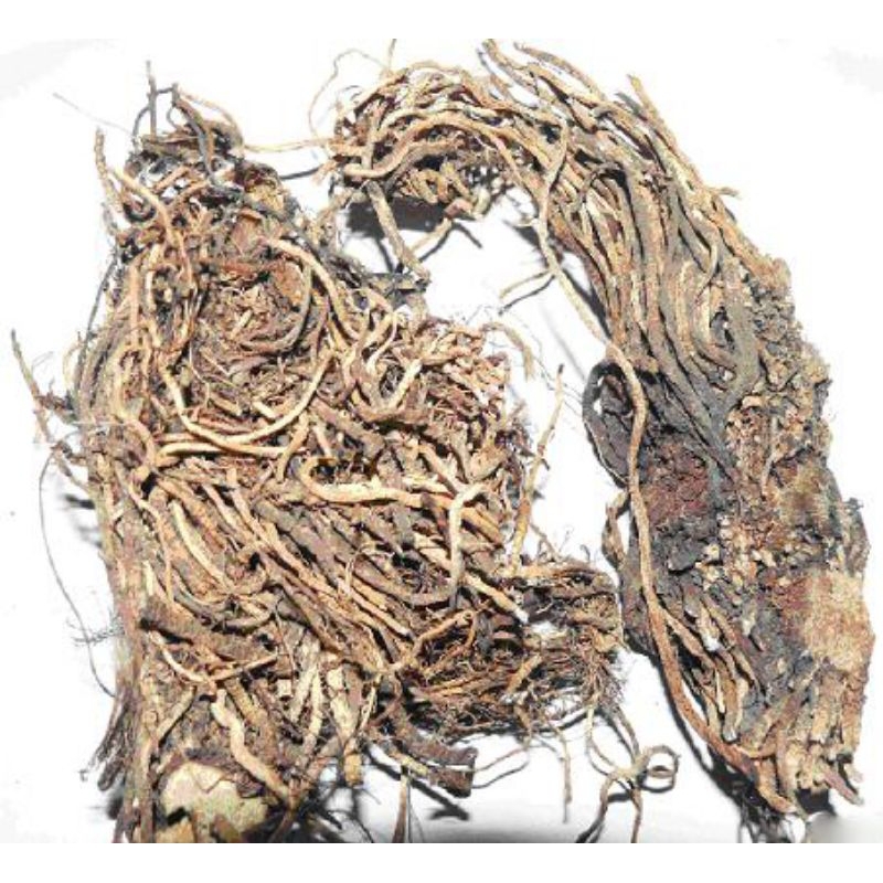 

300 G GR GRAM 藜芦 LI LU BLACK FALSE HELLEBORE FALSEHELLEBORE ROOT AND RHIZOME