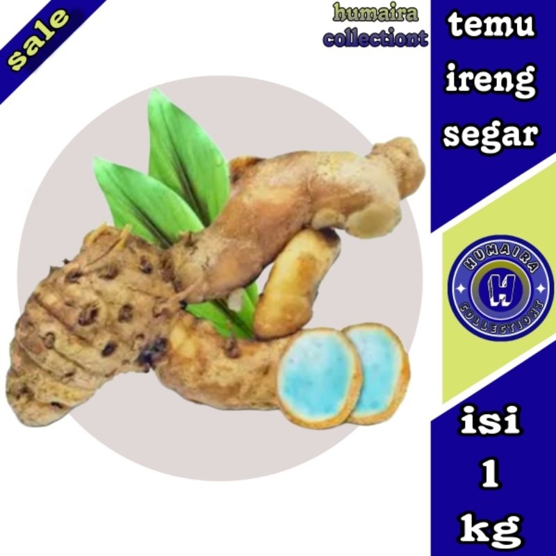 

Temi Ireng Temu Hitam Segar 1 kg Humaira Collectiont