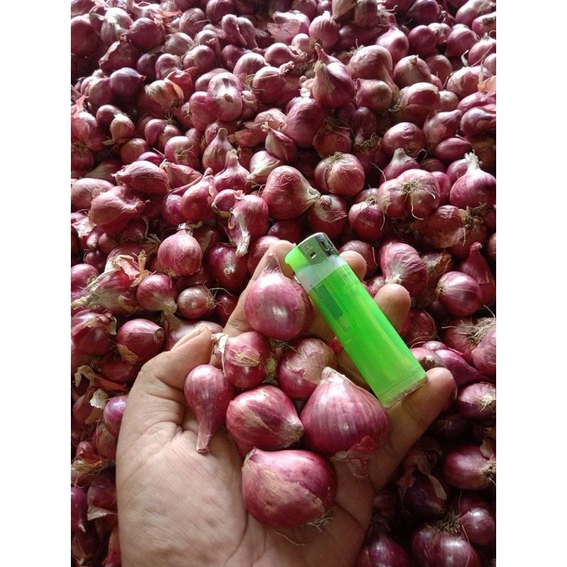 

Bawang Merah Termurah (500gram)