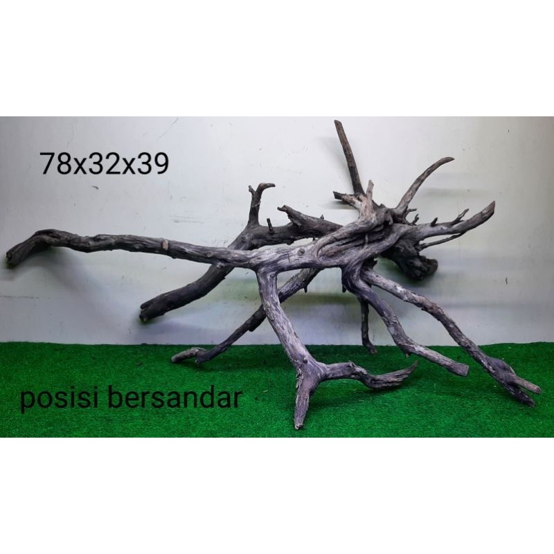 Bonggol Kayu Santigi Laut - Kayu Tenggelam - Aquascape - Aquarium - Taman - 78x32x39 A3