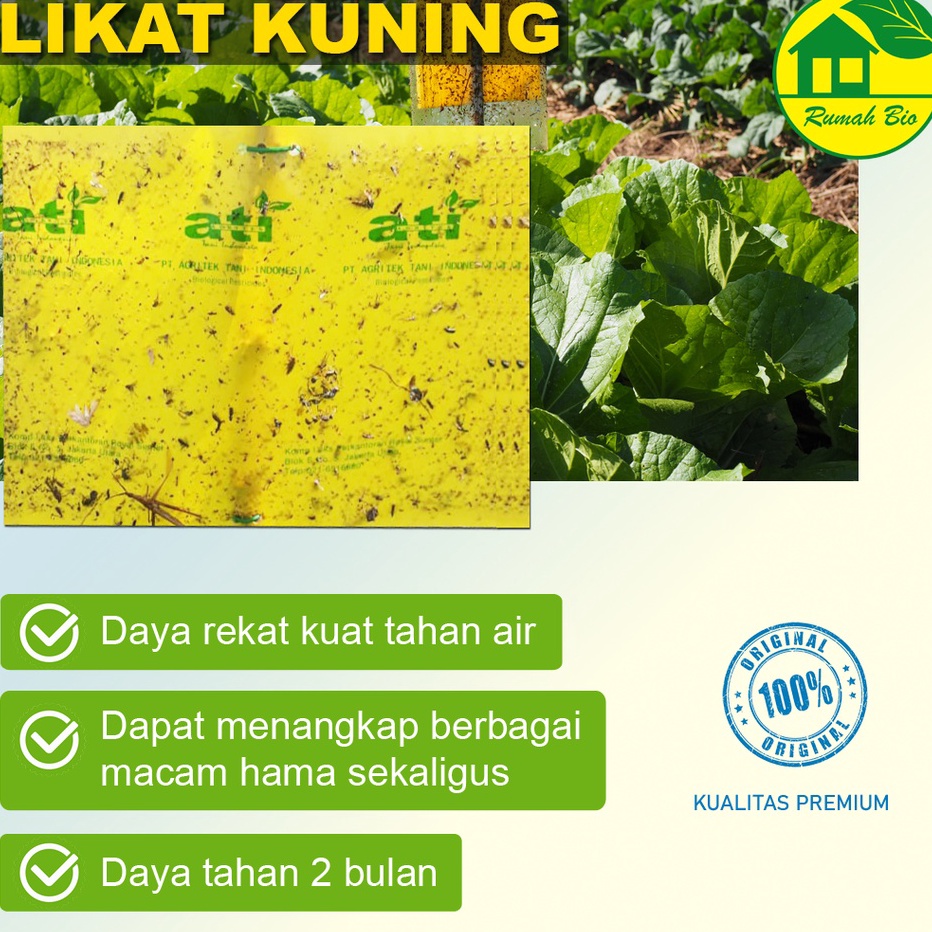 FG2 Perangkap hama likat kuning per lembar 2 sisi rekat