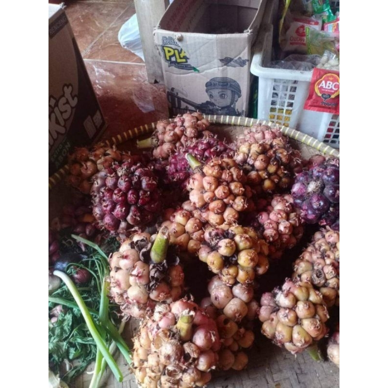 

Buah Honje Pelengkap Rujak (1 Bonggol Buah)