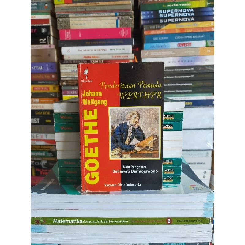 Buku Original : Johann Wolfgang GOETHE - Penderitaan Pemuda Werther