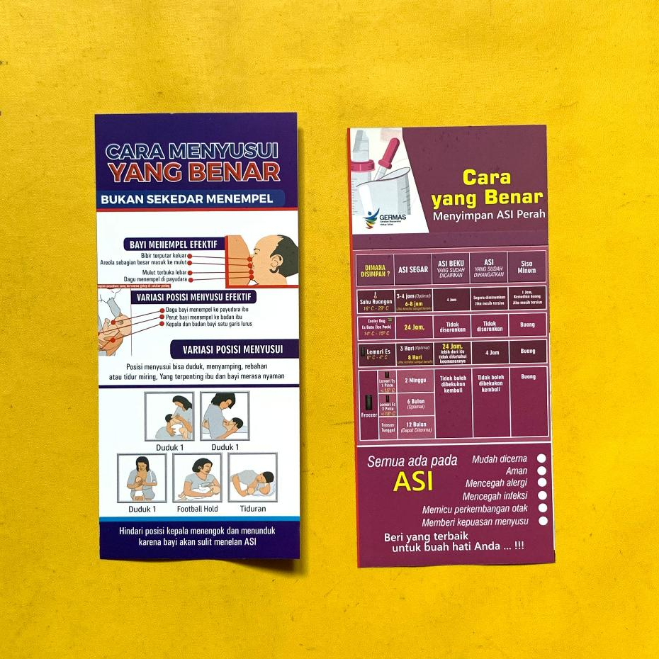 

Flyer Menyusui | Brosur Cara Menyusui yang Benar | Flyer Menyimpan ASI Perah yang Benar versi 2