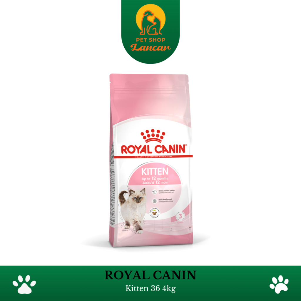 ROYAL CANIN KITTEN/ROYAL CANIN KITTEN 36 - 4KG
