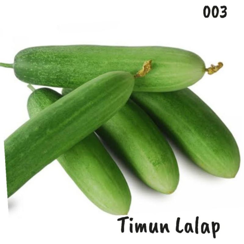 

timun/ ketimun