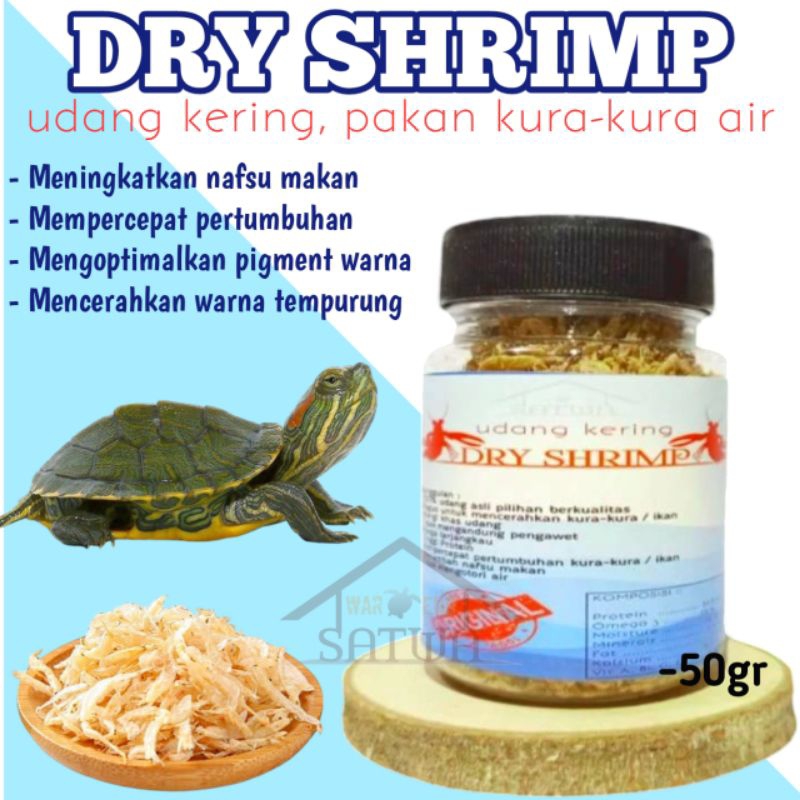 UDANG KERING MAKANAN KURA-KURA AIR BRAZIL AST CST DAMER AMBON PIPUT KURA HIJAU TURTLE FOOD DRY SHRIM