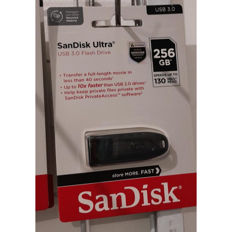 FLASHDISK SANDISK 256 GB