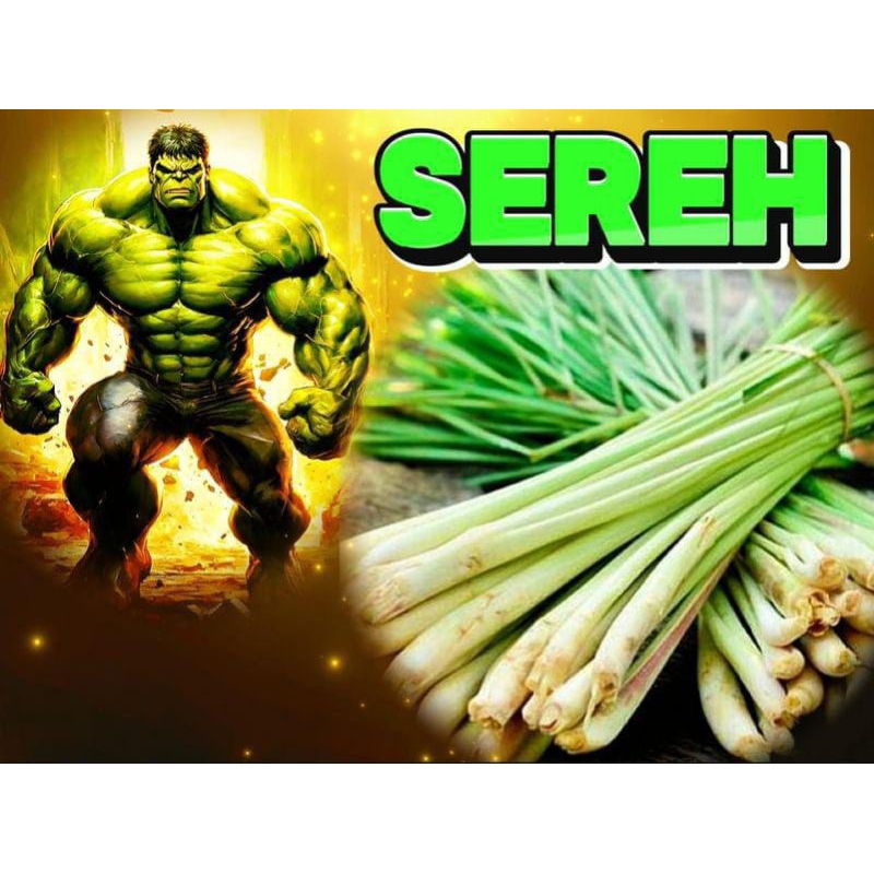 

sereh / serai