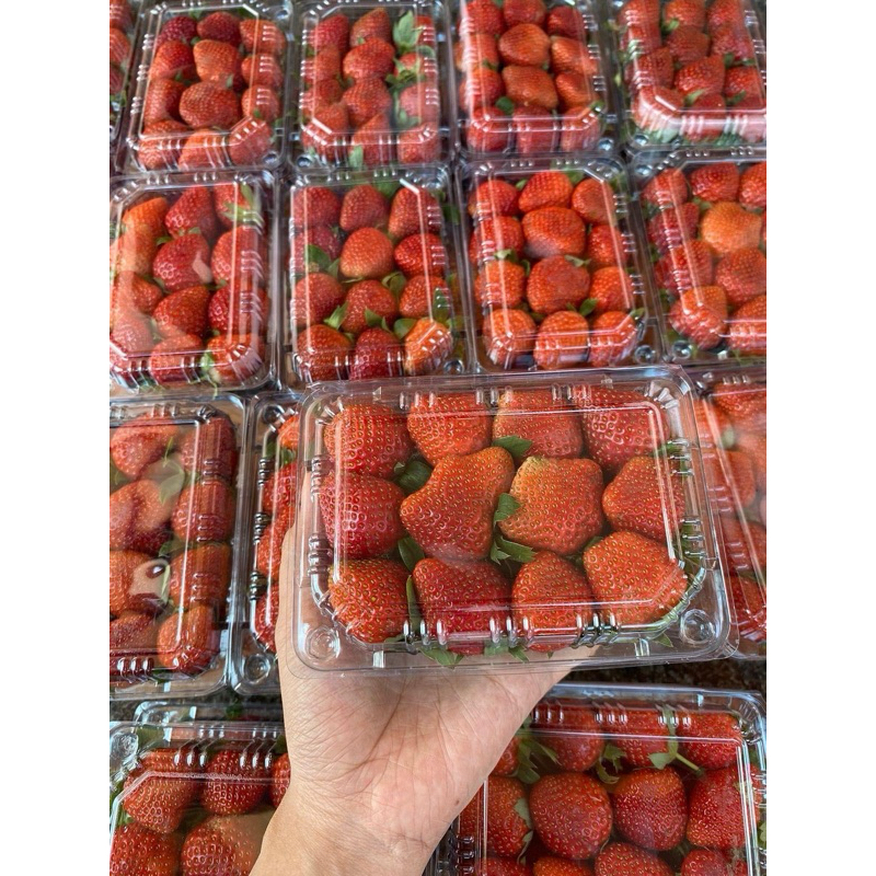 

Stroberi Berat 160 Gram