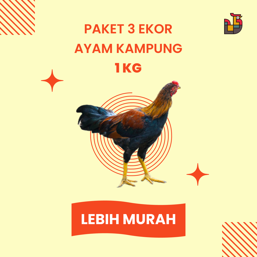 

PAKET AYAM KAMPUNG 3 EKOR 1 KG TERMURAH SE-JABODETABEK