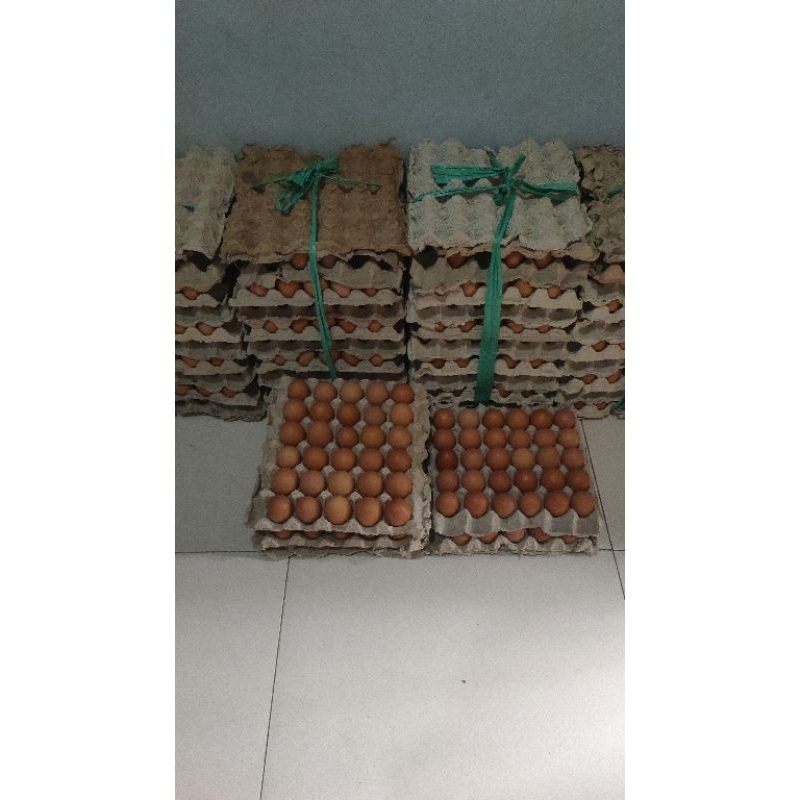 

Telur ayam negri fres 1 tray 20 biji berat 2 kg