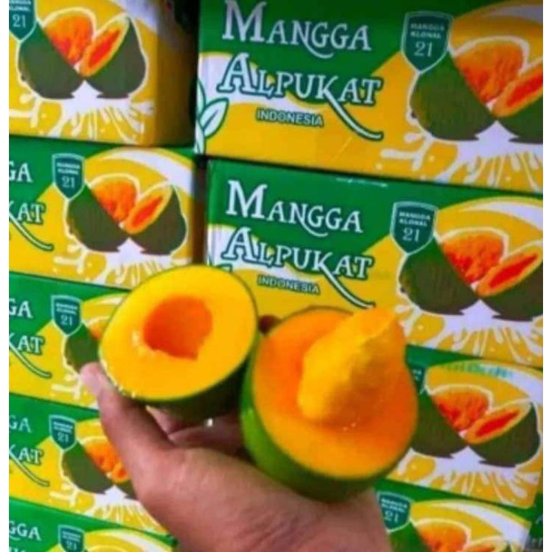 

Mangga Alpukat dus an isi 5kg/dus spek market premium superan ukuran besar-besar