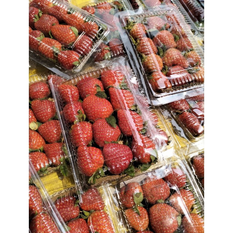 

STRAWBERRY LOKAL - SERBA BUAH