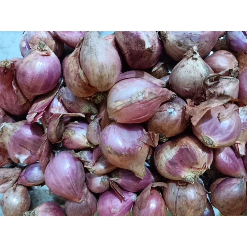 

Bawang merah bagus kering