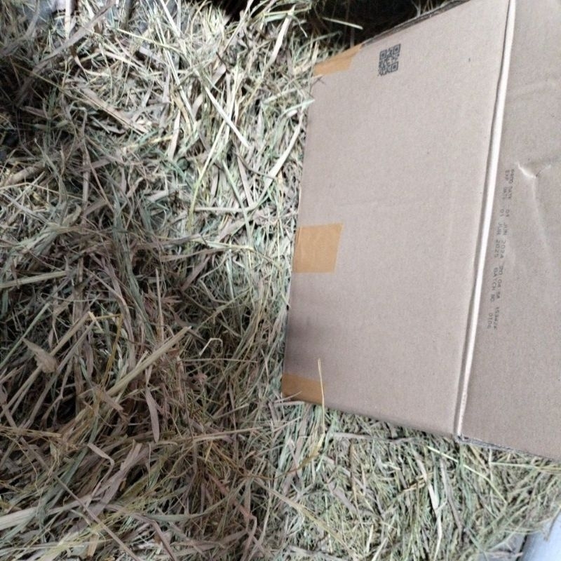 

PACKING JERAMI KARDUS TEBAL