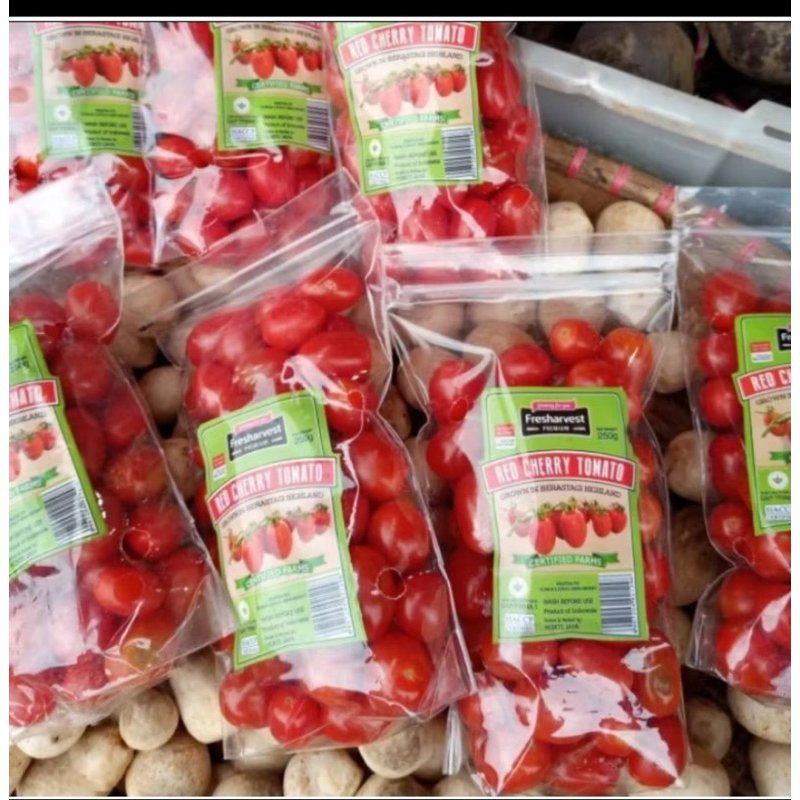 

QUEEN BUAH:TOMAT CHERRY/TOMAT MINI SEGER FRESH PROMO MURAH MERIAH