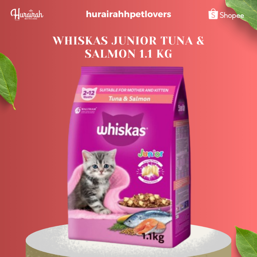 WHISKAS JUNIOR TUNA & SALMON 1.1 KG