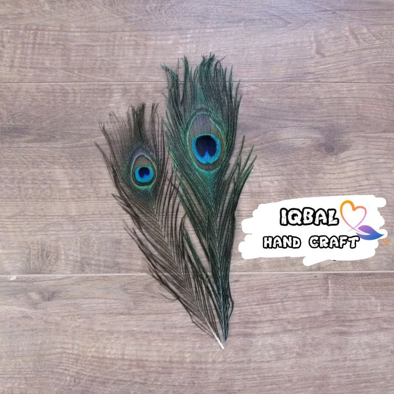 100 pcs Bulu Merak Pendek Imitasi - Replika Bulu Merak Kecil Premium - Bulu Merak Imitasi