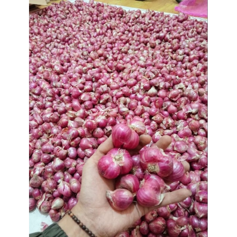 

Bawang merah probolinggo grade A