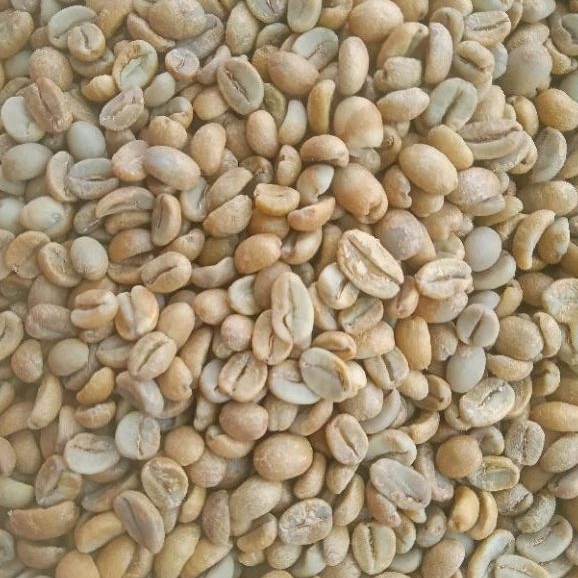 

BIJI KOPI ARABICA/GREENBEAN ARABICA NATURAL ANAEROB SPECIALTY