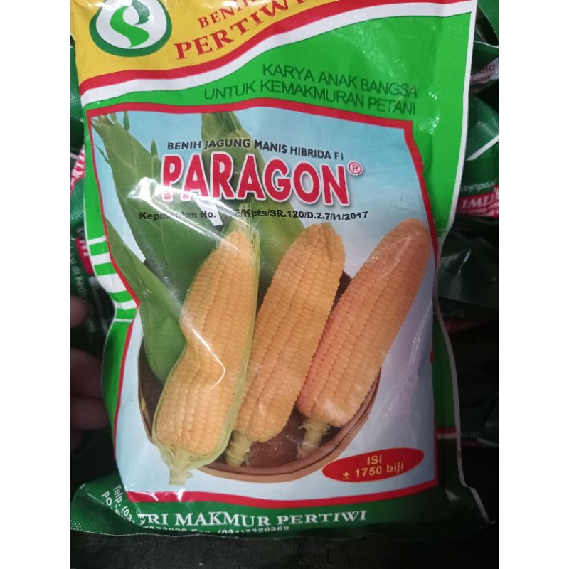 

jagung manis paragong isi 1750biji