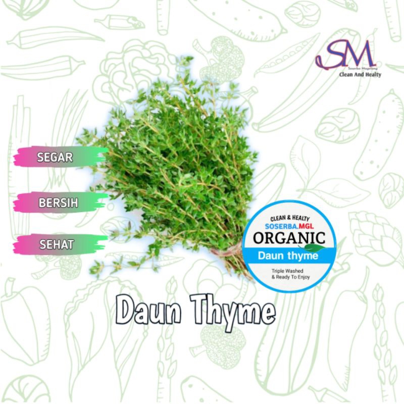 Daun Thyme murah segar