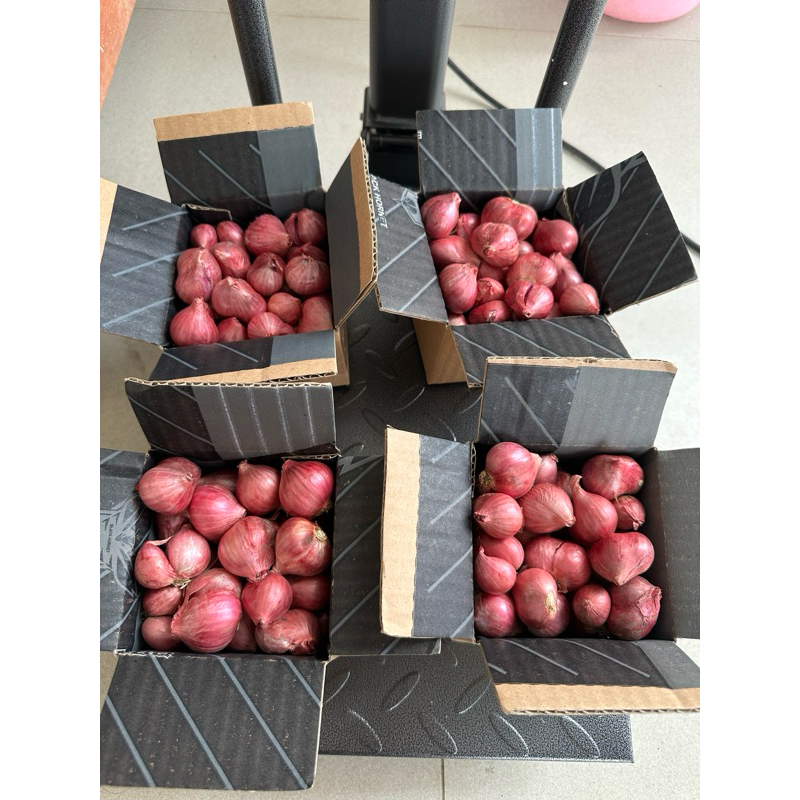 

paket usaha bawang super