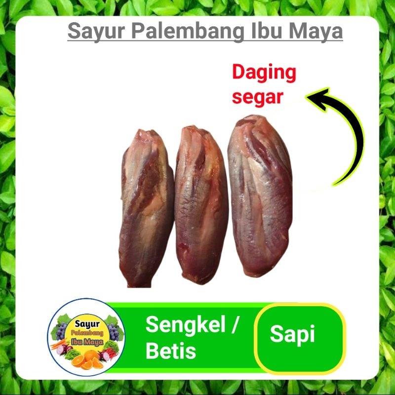 

Daging Sapi Sengkel / Betis - Sayur Palembang Segar