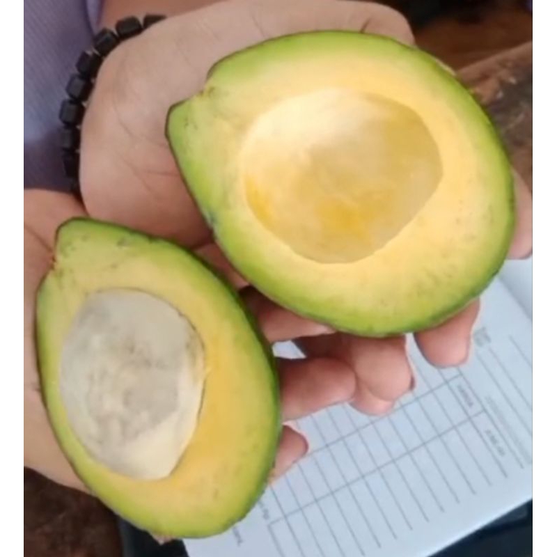 

Alpukat Mentega 1 kg