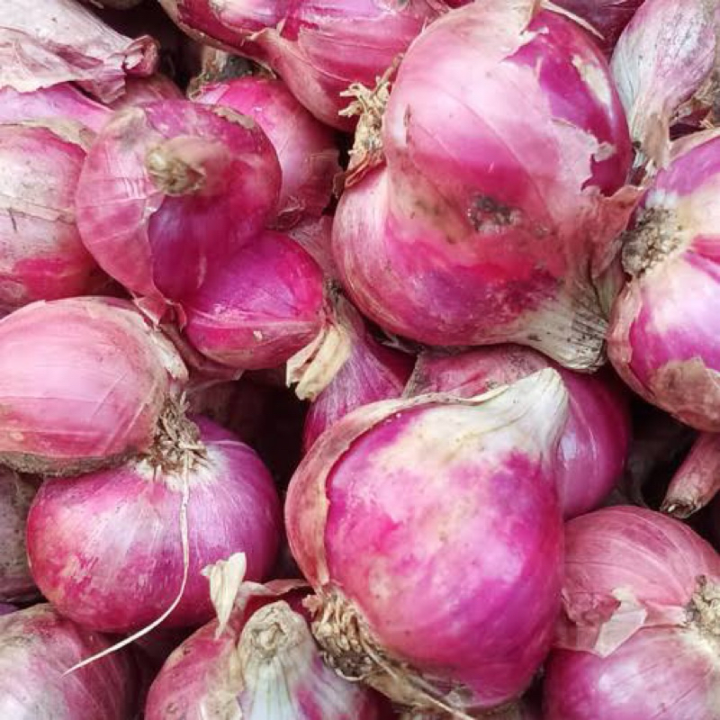 

Bawang Merah Kering Super jumbo 1 Kg