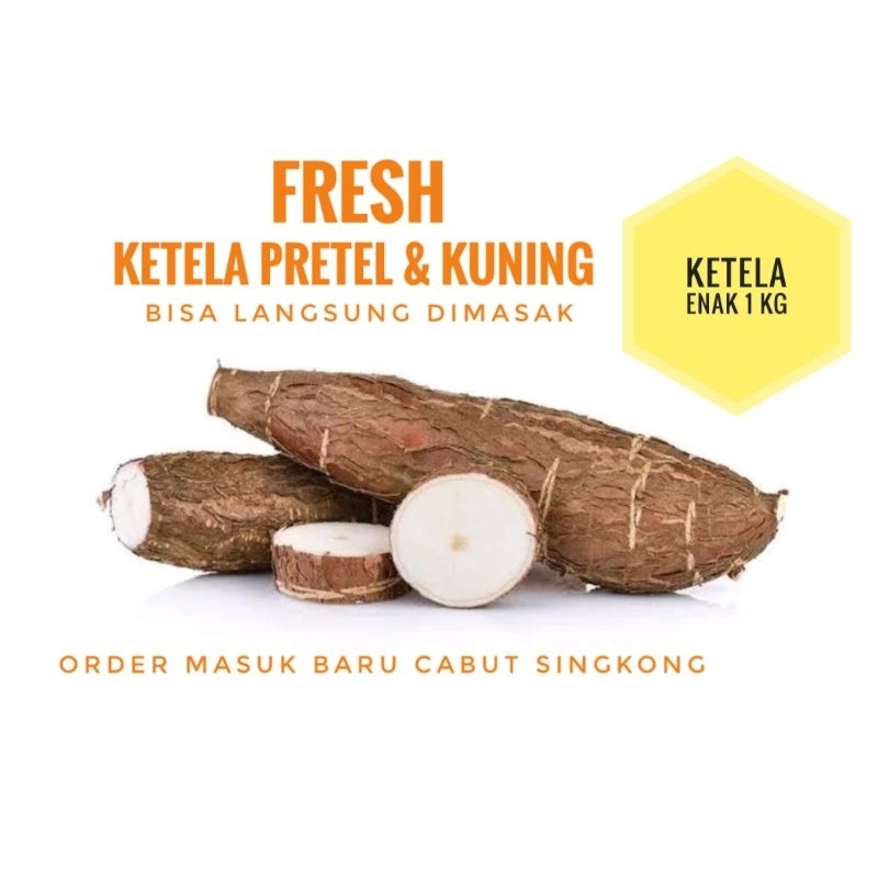

Singkong salju 1 kg segar order masuk baru cabut