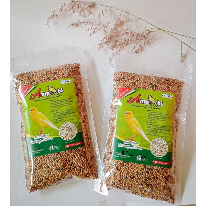 PAKAN KENARI AMPIBI MAKANAN BURUNG KENARI HARIAN DAN LOMBA AMPIBI