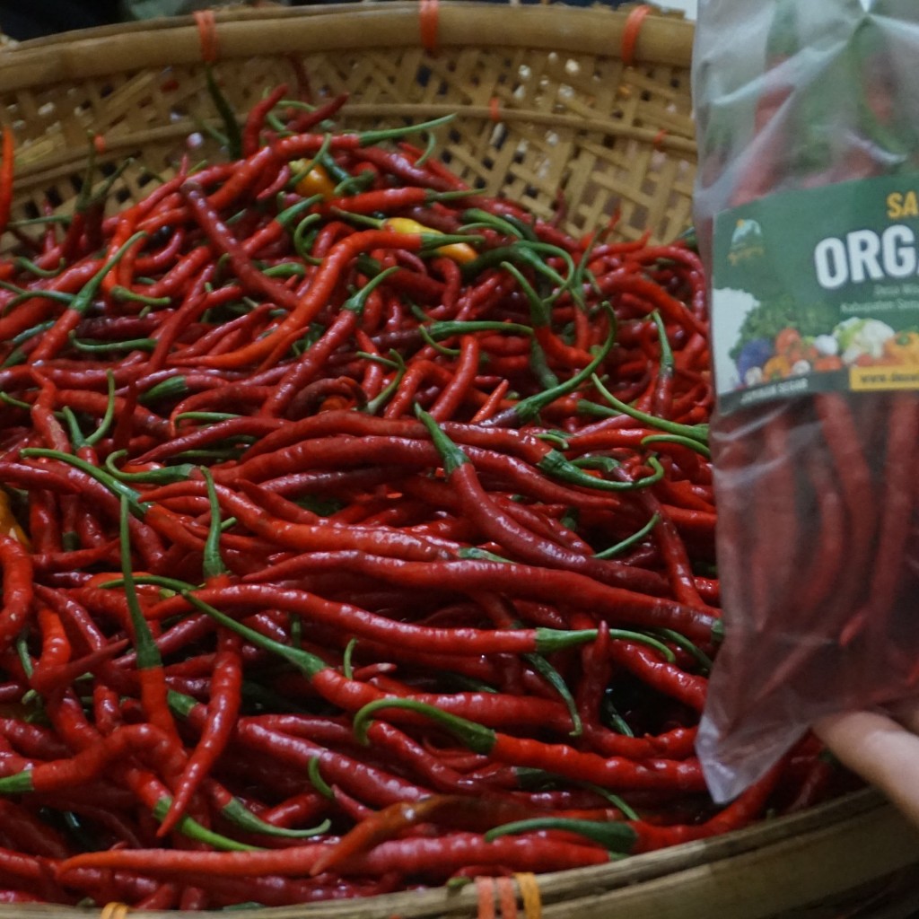 

Cabe Merah Organik 100 Gram +