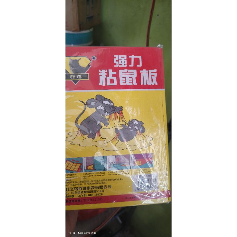 lem tikus lem tikus curut ampuh