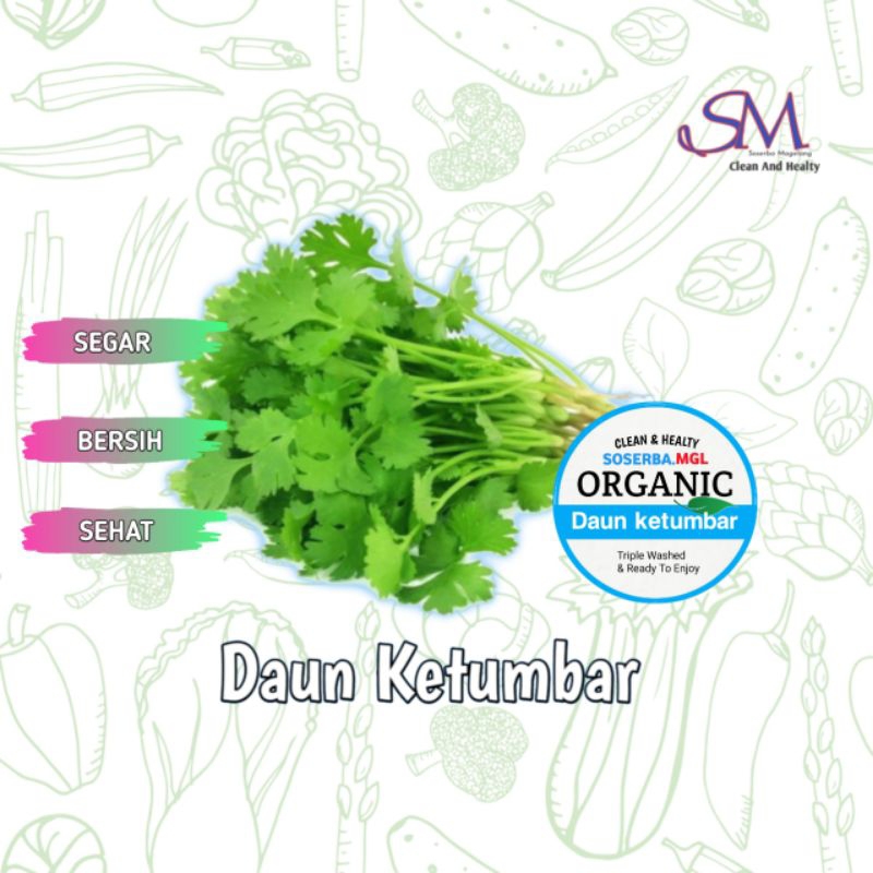 

Daun Ketumbar fresh murah