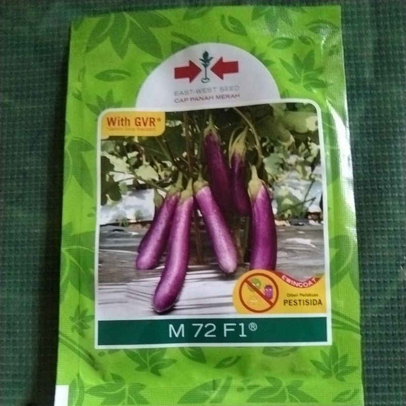 

terong ungu M72