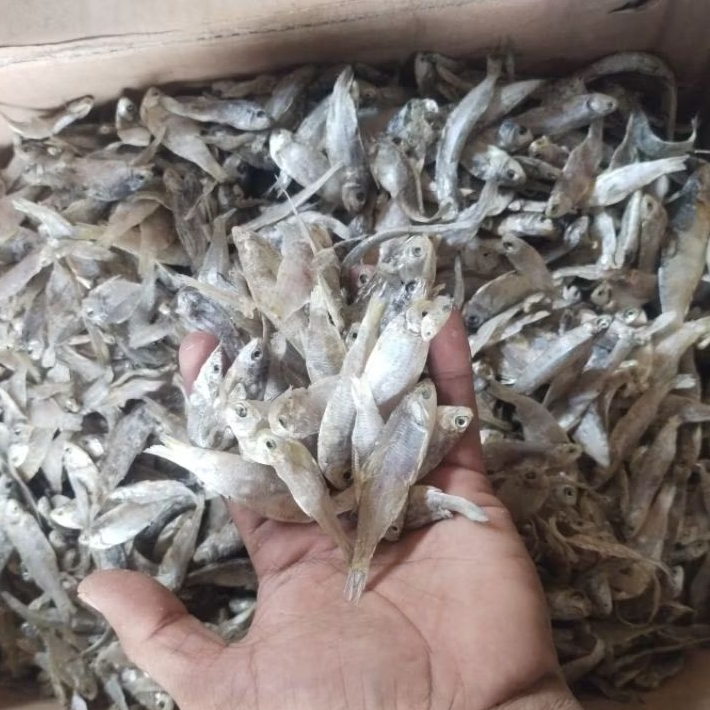 

Ikan Asin Campuran kecil 1kg kering dan gurih