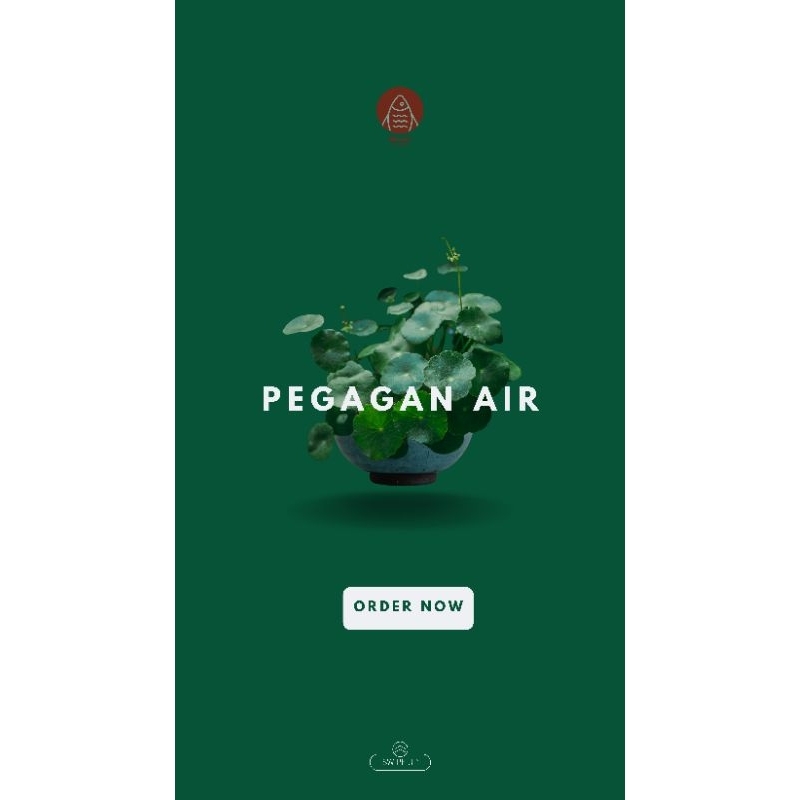 Pegagan Air