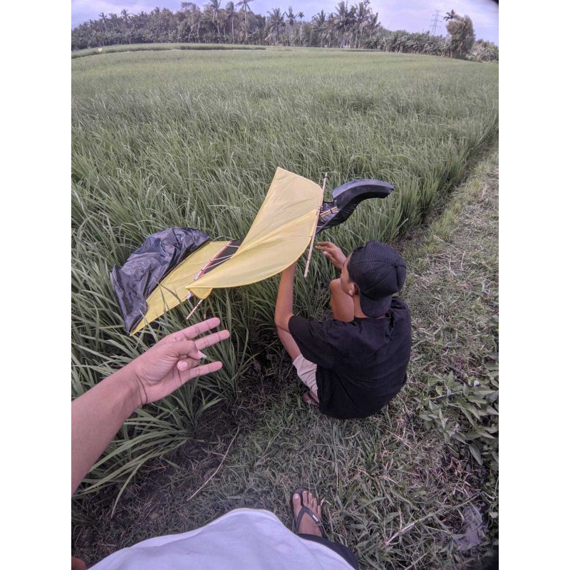 LAYANGAN KUIR/LAYANGAN JANGGAN BUNTUT/LAYANGAN BALI/LAYANGAN DOLONG