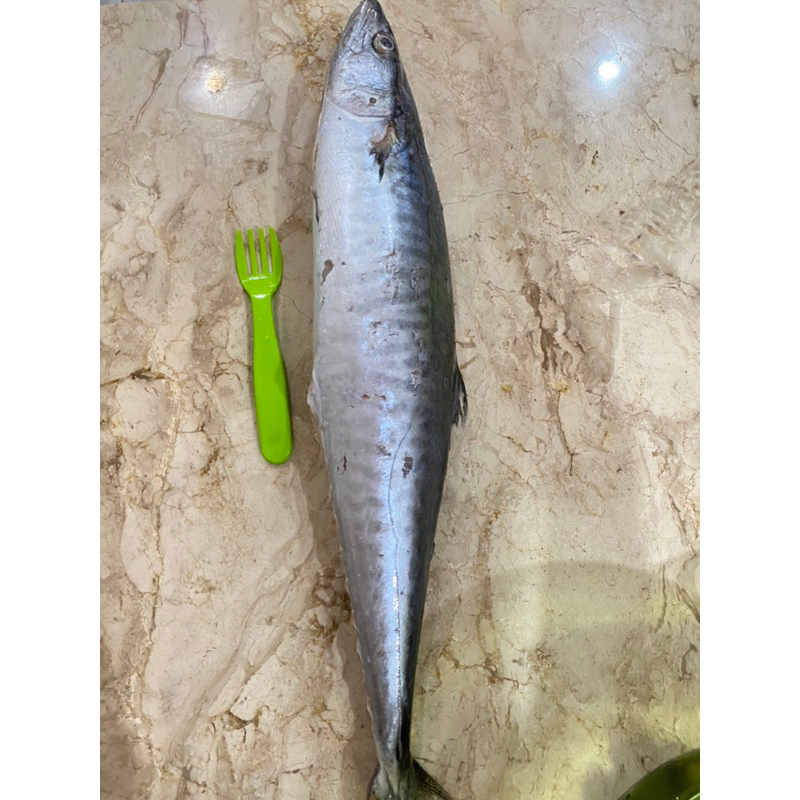 [WINFISH] IKAN TENGGIRI UTUH SEGAR-1kg