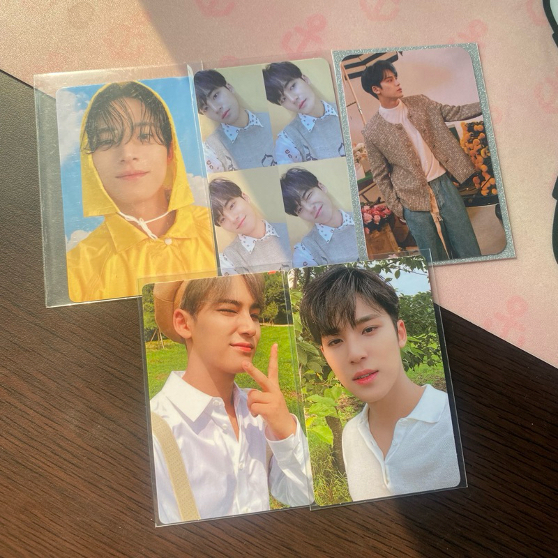 PC SEVENTEEN MINGYU POB YOUR CHOICE BUNGA MECIMA FTS FACE THE SUN FTS SECTOR 17 SEVENTEENTH HEAVEN C