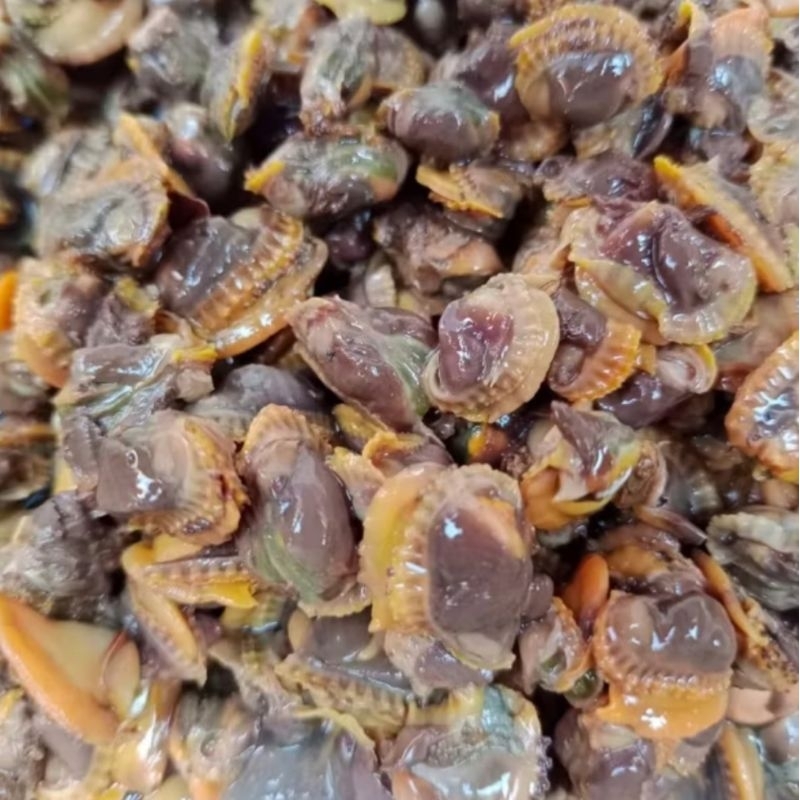 

Kerang Dara Kupas